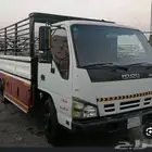 دينه عرعر