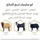 ذبايح توصل لباب بيتك مقاطعه حسب الطلب