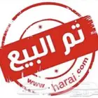 صيصان براهمة كولومبي ( تم البيع خارج الموقع )