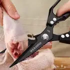 مقص الدجاج و الخضار