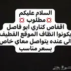 طيورر