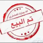 طلي فحل صنف تم البيع