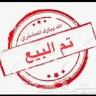 طلي صنف سنه ثني