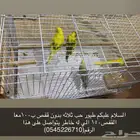 ضاحيه الملك فهد