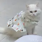 قطه لا التبني عمرها 7شهور أنثى
