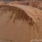 سافي رقم واحد نظيف على الشرط