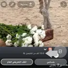 حساب سناب متفاعل جدا 10K