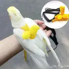 حبل هارنس للطيور