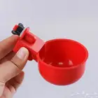 سقايات ومشربيات طيور