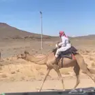رباع طابع شداد وعنده روابط سبق
