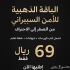 الامن السيبراني