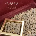 عود الفراشه عشر اوقيات ب 99