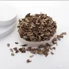عود دقة فيتنامي