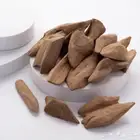 عود ماروكي طبيعي B