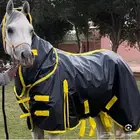 عدة خيل