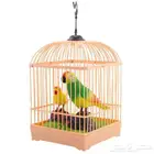 لعبة عصفور قفص