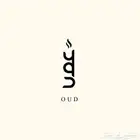 تصميم لوقو شعار احترافي