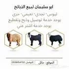 ذبيحتك الى باب بيتك سعر وجوده
