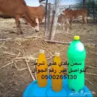 صامطه
