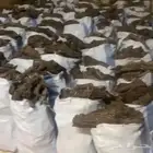 للبيع خياش زرعيه 15 كيلو