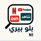 حسابات شاهد نتفلكس يويتوب