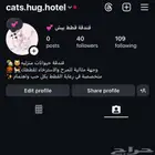فندقة للقطط