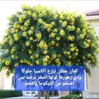 زرع طبيعي وتيل طبيعي وأشجار طبيعي وسماد الأماني مشتل زرع