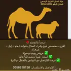 قروب حلال. لا يتقاضى أي نسبة ربح