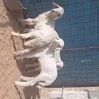 للبيع 4 طليان العمر شهرين