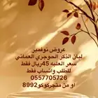 عروض نوفمبر لبان ذكر حوجري عماني طبيعي