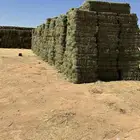 برسيم صافي   مخلوط