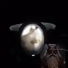 خاتم