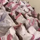 اخياش علاف غنام