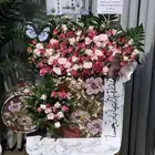 ورد وهدايا خميس مشيط ابها احدرفيدة نوصل هديتك بنفس اليوم