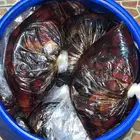 تمر حلو الجوف