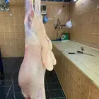 طليان ورخال ذبايح شي نظيف بسعر مناسب متوفر تابي