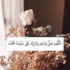 كداد من المدينه المنوره الى العلا