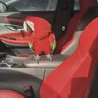 متجر ببغااائي