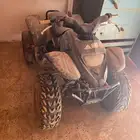 دباب تيواني
