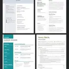 عمل سيره احترافيه