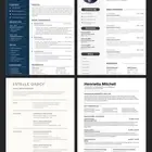 عمل سيره احترافيه