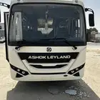 باص عاشوق ليلند 33 راكب