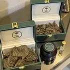 العود الازرق الرسمي