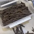 الهندي نجليند تربل سوبر
