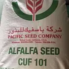 برسيم امريكي باسفيك