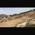 رمل زراعي ودفان للبييع