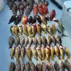 قارب لرحلات