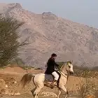 حصان جمره وبطل وشخصيه كرزما عاليه جدان