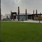 مطلوب اشجار احجام متوسطة الى كبيره