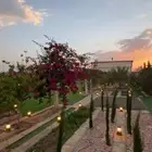استراحه